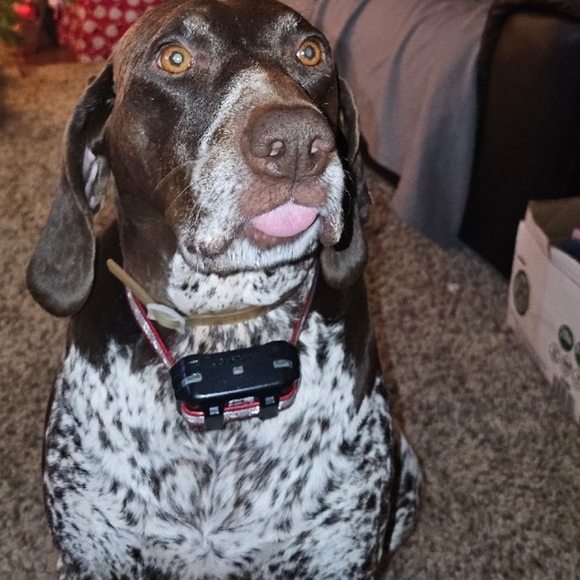 Meet your Posher Wojo0404 - Picture 1 of 1